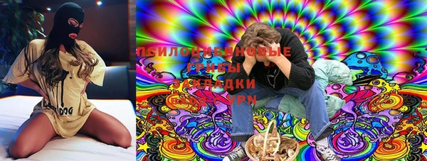стафф Алексин